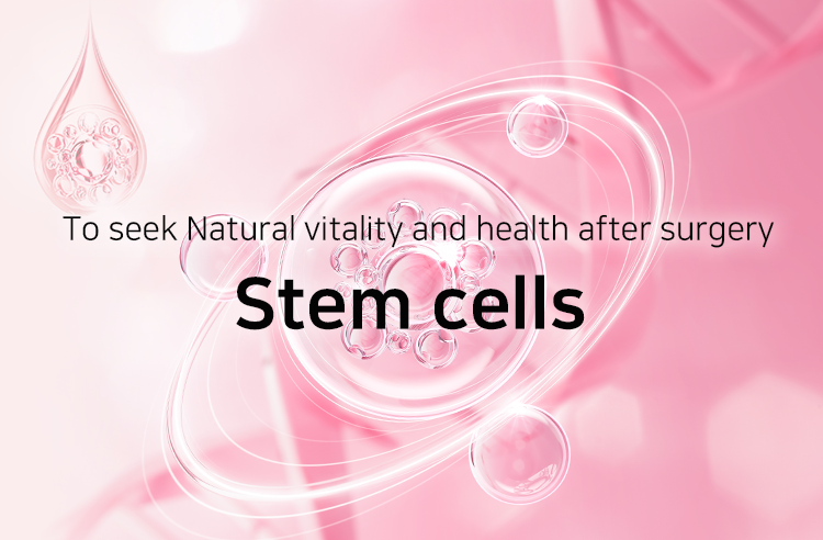 To seek Natural vitality and health after surgery Steam cells